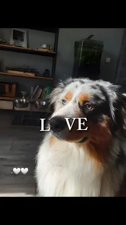 puppy love <3