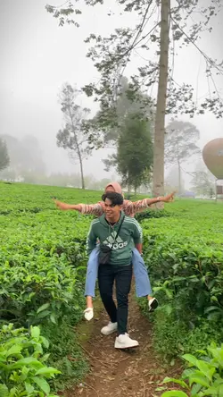 My heart kebun teh