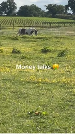 ⚠️FAKE AI NOT REAL⚠️