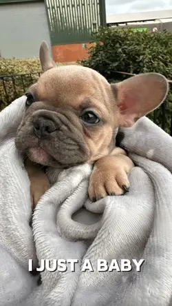 I Just A Baby 