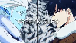 free solo levelin