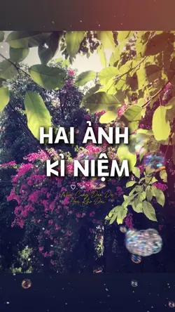 Vùng kí ức xưa