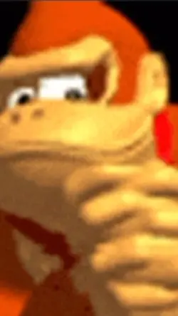 DONKEY KONG DIRTY