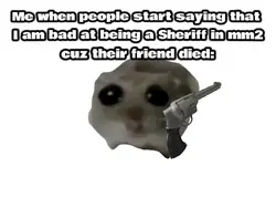 Sad hamster