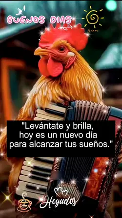 Buenos dias 