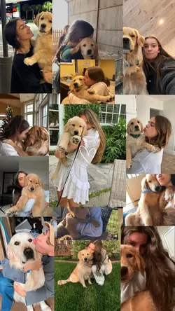 My dog
