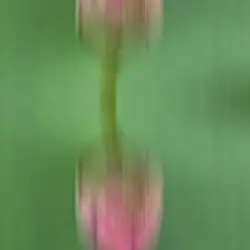 Random Template