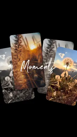 spring moments