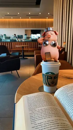 pig dance