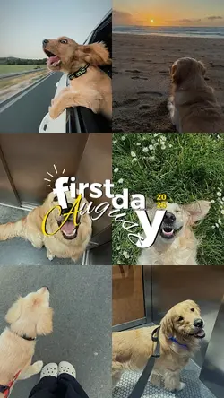 first day august