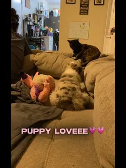 Puppy love❤️
