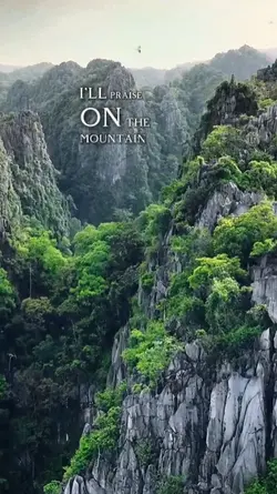 Praise
