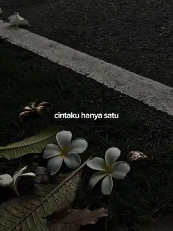 Cintaku hanya satu
