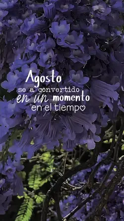 August 