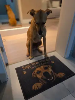 pet