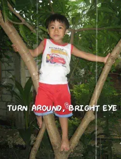 Turnaroundbrighteye