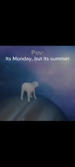 ~Meme Dancing Dog~