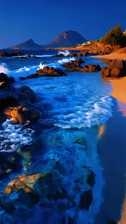 6 Videos | Photos 