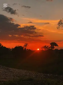 atardecer 