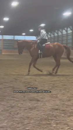FAKE BODY AND HORSE