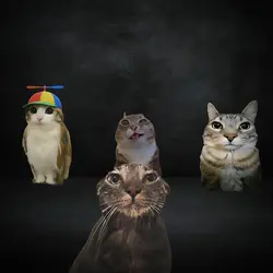 CAT EDIT V3