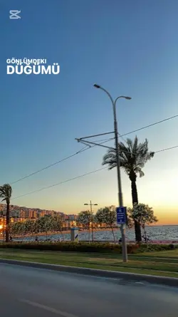 yeni şablon 