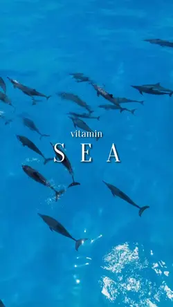 vitamin SEA