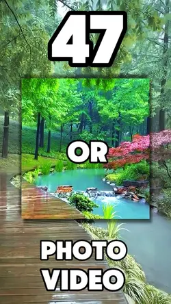 47 clip or photo