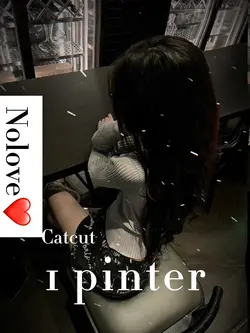 1pic