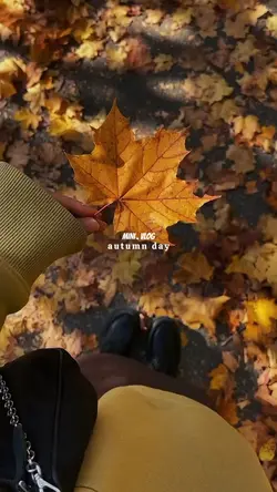 mini vlog autumn day