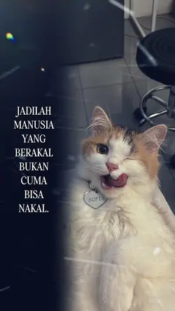 kata kata 