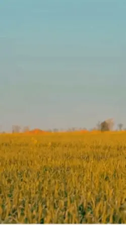 Farming 