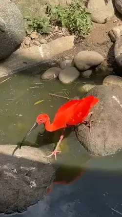 Zoo