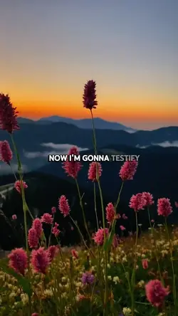 I'm gonna testify