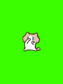 douyin cat ver3:4