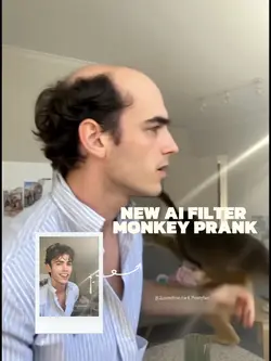 Monkey Prank 