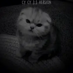暗い感じの編集です！