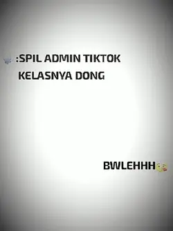spil admin tiktok 