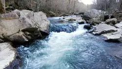 kunfayakun