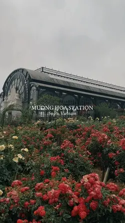Aesthetic station