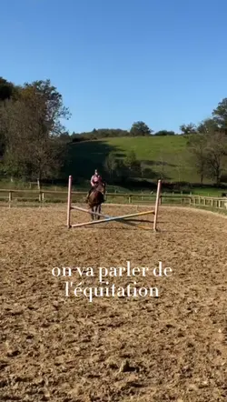 les chevaux 