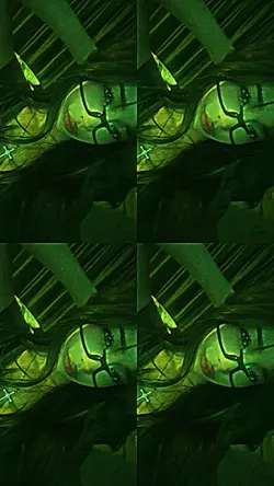 night vision loop
