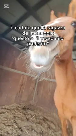 ups