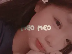 1 ảnh