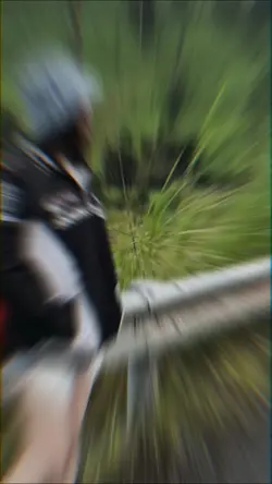 Tam Trending 🩷🩵