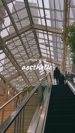 mini vlog 