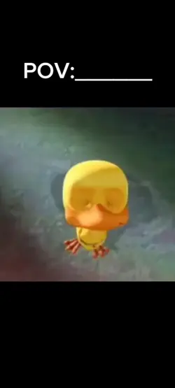 Crying duck meme 