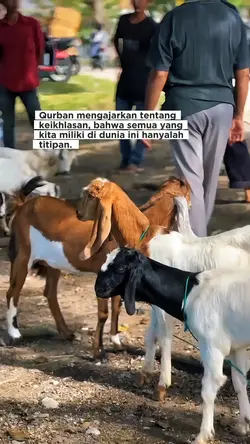 Qurban 2026
