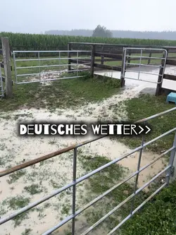 Regen🥲😭