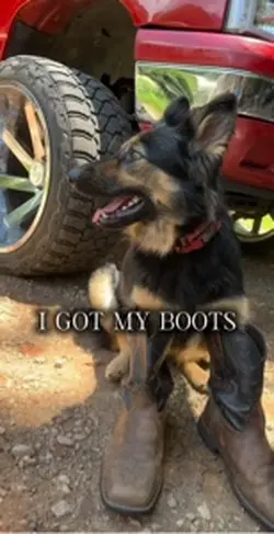 Country back 
